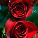 Good Man - @good_ward - Instagram
