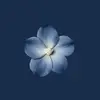 Ward Gray - @ward.gray4 - TikTok