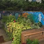 Mary Ward Green Industy - @marywardgreenindustry - Instagram