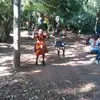 user5267428105730 - @greenward1 - TikTok