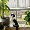 Ward Griffiths - @ward.griffiths - TikTok