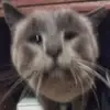 Grover Ward - @grover.ward19 - TikTok