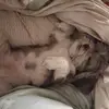 barbarawardhall - @barbara.ward.hall - TikTok
