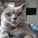 Jayne Ward-Hall - @jaynie_wardhall - Instagram