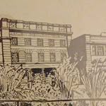 Sarah Ward-Hall - @sarahward_hall_art - Instagram