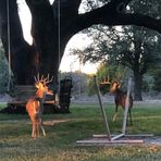 Ward Hicks - Facebook