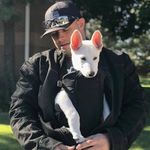 Higgins - @higgins_ward_ - Instagram