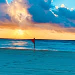 Ward Johnson - @wardjohnson8 - Instagram
