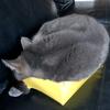 Edward Maynard - @edward.maynard - TikTok