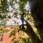 AJ Ward-Thompson - @into_the_canopy - Instagram