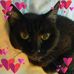 Neldaj Ward Walker - Facebook