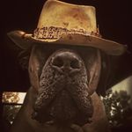 Ward Walker - @hattrapsupplyco - Instagram