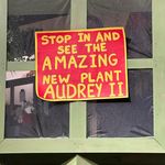 Pat Walsh Ward - @patwalshward - Instagram