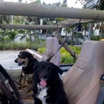 Ward Wilson - @ward.wilson.528 - Instagram
