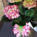 Ward Wilson Funeral Home - Facebook