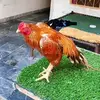 Waris Ali - @waris.ali3625 - TikTok