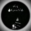 👑✌وارث لیّہ وال✌👑 - @waris.hussein - TikTok