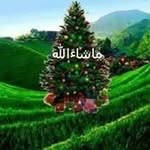Warisa Khan - @khan.warisa - Instagram