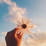 Warisha Aslam - @warishaaslam12 - Instagram