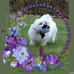 Sandra Warner Baker - @sandyb4833 - Instagram