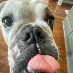 Warner Brown - @warner_brown12 - Instagram