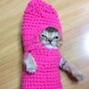 user_52947 - @warner_collins - TikTok