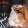 warnercollins - @user7328292872 - TikTok