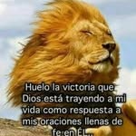 warner Flores - @flores.warner - Instagram