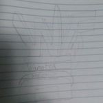Warner Fox - @warner_fox_studios - Instagram