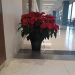 Warner Johnson - @wjohnson745 - Instagram