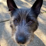 Warner Johnson - @swjiii - Instagram
