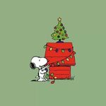 Lisa Warner Miller - @doegirlisa68 - Instagram