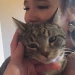 Mooneytunes - @mooneytunes.by.warnerhos - Instagram