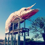 Warner Newman - @warnernewman - Instagram