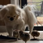 Warner Robinson - @334.5893123 - Instagram