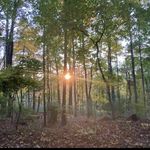 Percy Warner White Trail - @warnerwoodstrail - Instagram
