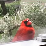 Janet Warner-Wilson - @janetwarnerwilson - Instagram