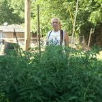 Joy Warner Wilson - @disnerd1973 - Instagram