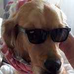 Pebbles Warner wilson - @pebbleswarner - Instagram