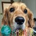 Pebbles warner wilson - Facebook