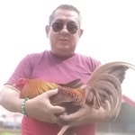 Warner WOng - @wongwarner - Instagram