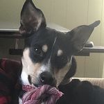Jackie Warner Wright - @nestlesmommy - Instagram