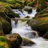 Arthur.Warner-Young - @makennndooc - TikTok