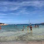 Warren Abbott - @warrenabbott8 - Instagram