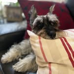 Warren Acevedo - @waceuno - Instagram