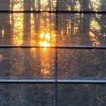 Joyce Warren Adkins - @joycewarrenadkins - Instagram