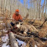 Warren Adkins - @_warren_adkins_ - Instagram