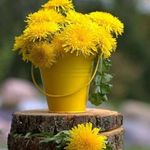 Warren-ahrens - @warren_ahrens_ - Instagram