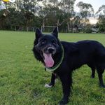 Warren Alexander - @waza_melb - Instagram