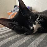 Warren Alexander - @warren_j_alexander - Instagram